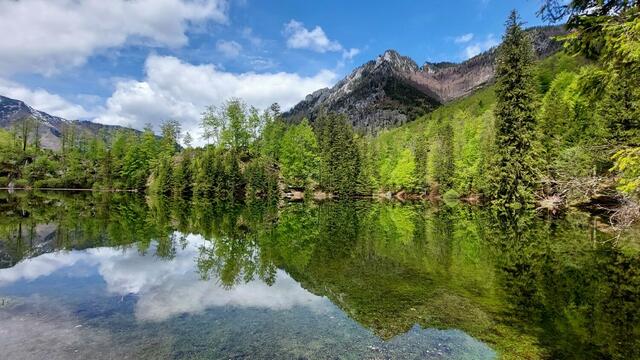 Der Wiesensee in Ebensee. | Foto: Wilfried Fischer