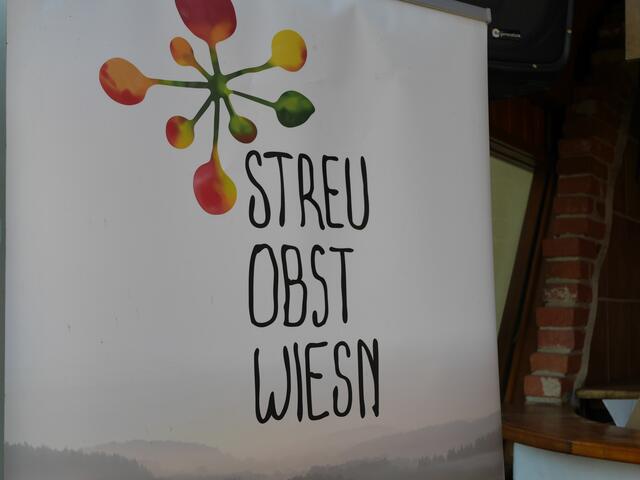 Foto: Michelle Holzmann