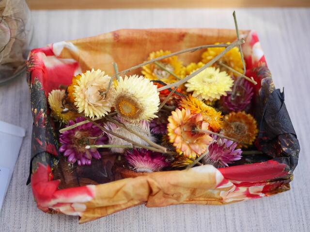 Foto: Michelle Holzmann