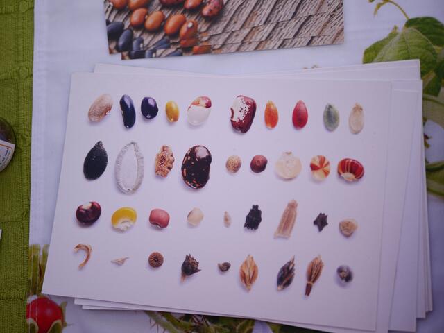 Foto: Michelle Holzmann