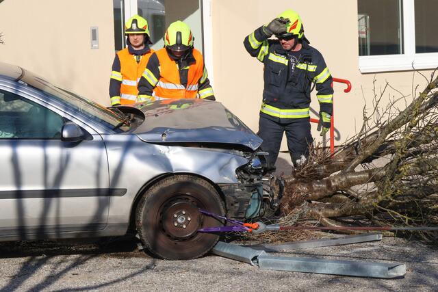 Foto:  laumat/Matthias Lauber