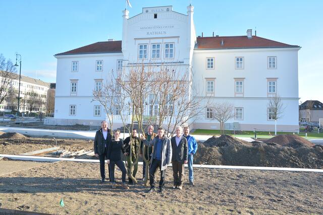 Stadtamtsdirektor DI Dr. Viktor Geyrhofer, Mag. Julia Schwanzer (Abteilungsleiterin-Stv. Öffentlichkeitsarbeit, Tourismus und Kultur), DI Dr. Cornelia Hebenstreit (Abteilungsleiterin Straßen und Verkehr), Ing. Christian Schlamberger (Abteilung Straßen &amp; Verkehr), Bürgermeister Mag. Peter Eisenschenk, Johannes Sanda (Abteilungsleiter Umwelt, Energie und Wasserwirtschaft) und Bauhof-Leiter Ing. Florian Pauser.
 | Foto: Stadtgemeinde Tulln