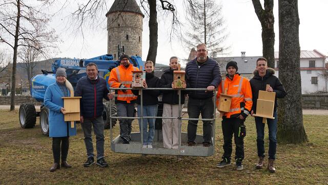 Gelungene Kooperation zum Schutz der Artenvielfalt: Insgesamt 40 Nistkästen für heimische Vögel und Fledermäuse wurden in Freistadt montiert. | Foto: Stadtgemeinde Freistadt