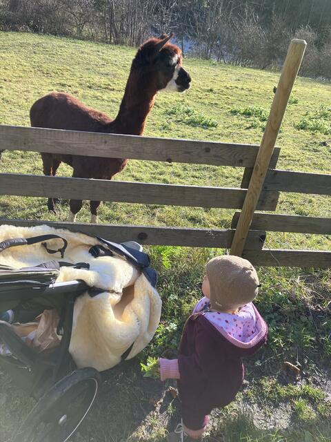 Die kleine Marta unternimmt mit ihrer Leihoma gerne Spaziergänge.  | Foto: Privat 