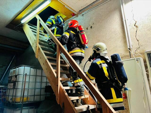 Mitglieder der FF Euratsfeld beim Finnen-Test. | Foto: Bezirksfeuerwehrkommando Amstetten