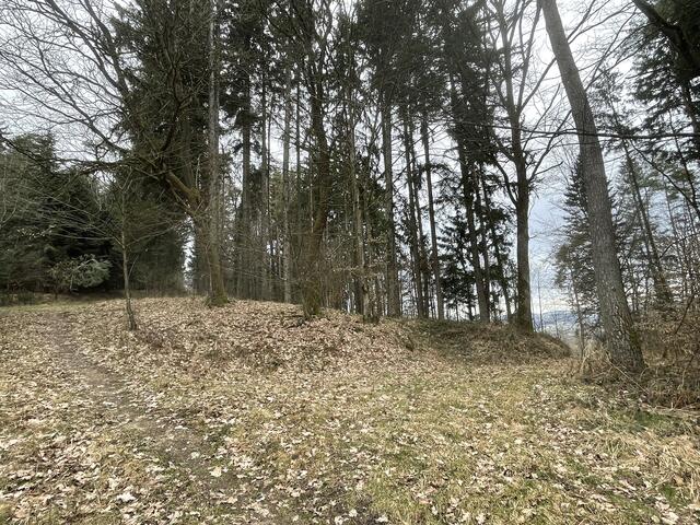 Vermutlich Erdwall der eisenzeitlichen Wallburg am Hang.