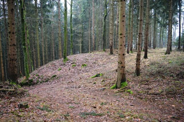 Burgstall Wall | Foto: Christian Steingruber