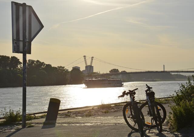 Er fiel während der Fahrt im Bereich der Lobau in Richtung Bratislava in die Donau, seitdem fehlt dem Vater von drei Kindern jede Spur. (Symbolfoto) | Foto: Willfried Gredler-Oxenbauer / picturedesk.com