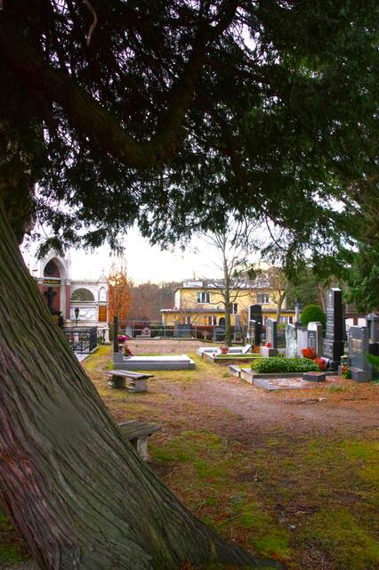 Sich unter den Baum stellen und nicht nass werden - hat gut funktioniert! | Foto: Zuzana Kobesova 2024