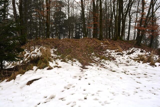 Burgstall Gipfel 2017 | Foto: Christian Steingruber