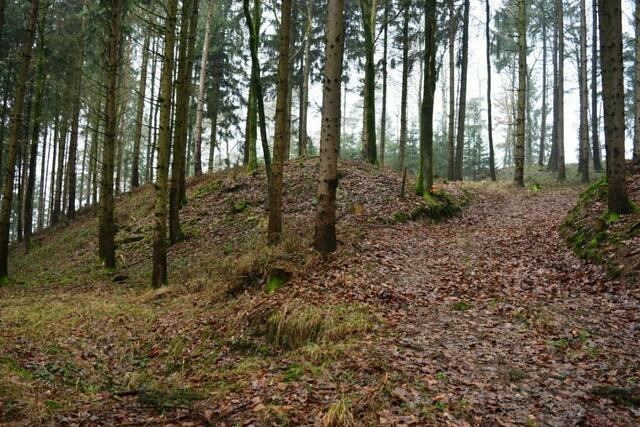 Burgstall Wall | Foto: Christian Steingruber