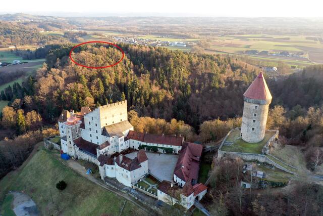 Blick auf die Burg Clam und in Richtung Osten, rot eingekreist ist der Burgstall zu sehen. Hier dürfte sich einst die zweite Burg Clam befunden haben. | Foto: Albert Kern/BGBTV