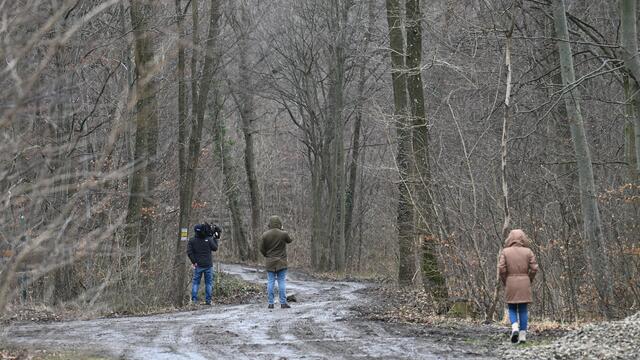 Foto: HELMUT FOHRINGER / APA / picturedesk.com