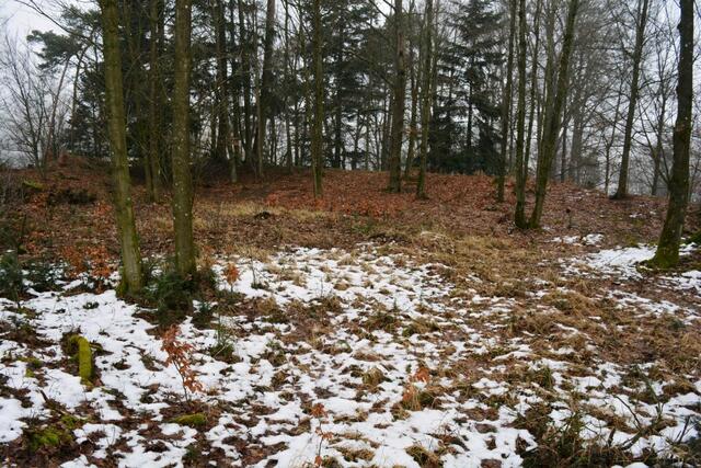 Burgstall Gipfel 2017 | Foto: Christian Steingruber