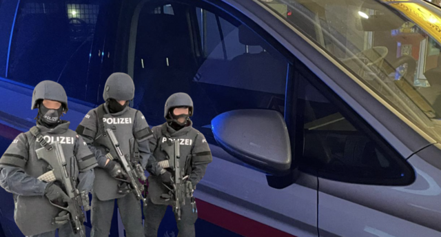 Spezialeinheiten der Polizei rückten an. | Foto: MeinBezirk.at/Symbolbild