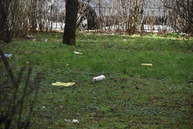 Die Grünfläche bei der Uhlandgasse ist regelmäßig zugemüllt. | Foto: Pufler