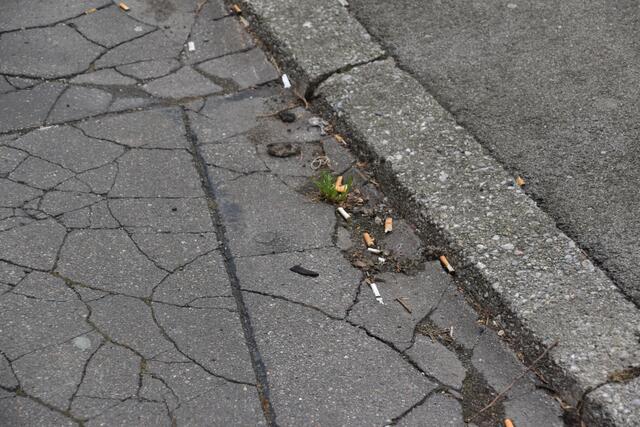 Zigarettenstummel werden oft achtlos weggeworfen – und liegen dann lange Zeit auf der Straße. | Foto: Pufler