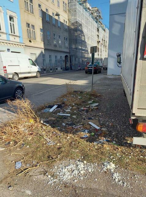 Unachtsam wird alles weggeworfen, was man nicht braucht, ärgert sich Familie M. | Foto: M.