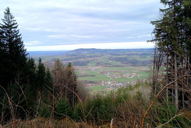 Foto: H.Bachinger 