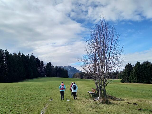 Foto: H.Bachinger 
