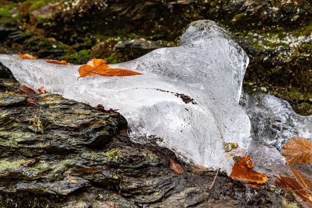 Foto - Johann Fasching