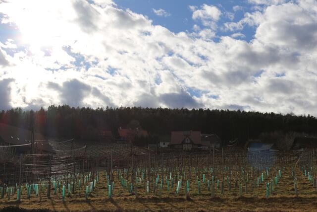 Foto: Löschnig