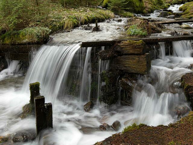 Foto - Gerhard Bukovnik