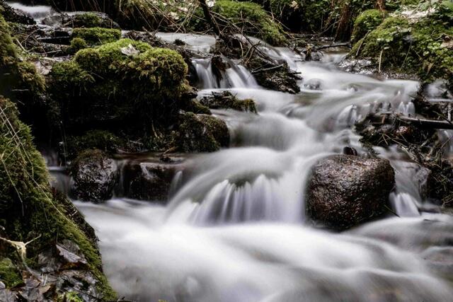 Foto - Helmut Scheriau