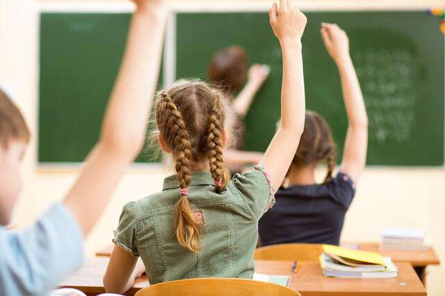 Rund 10.000 Schüler finden sich an den insgesamt 79 Schulen im Bezirk. 3.554 davon sind Volksschülerinnen und Volksschüler. (Symbolfoto) | Foto: oksun70/panthermedia