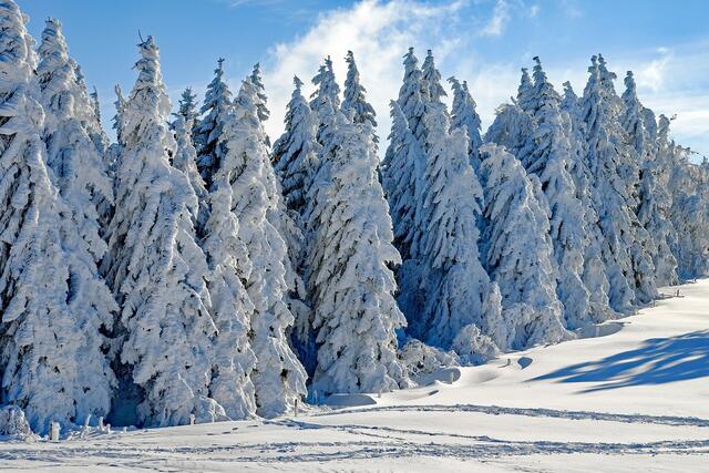 Der Winter kehrt am Freitag nach Salzburg zurück.  | Foto: Pixabay/Symbolbild