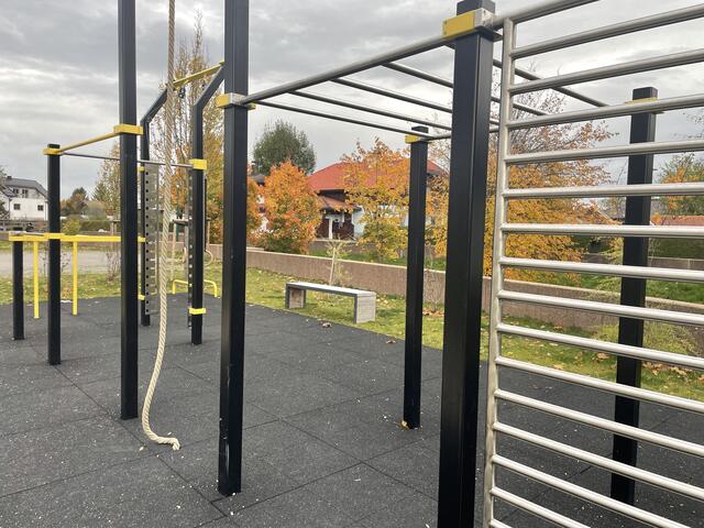 Fitnessexperte Bernd Kriechhammer erklärte unter anderem, wie man bei der Calisthenics-Anlage richtig trainiert. | Foto: Emanuel Hasenauer