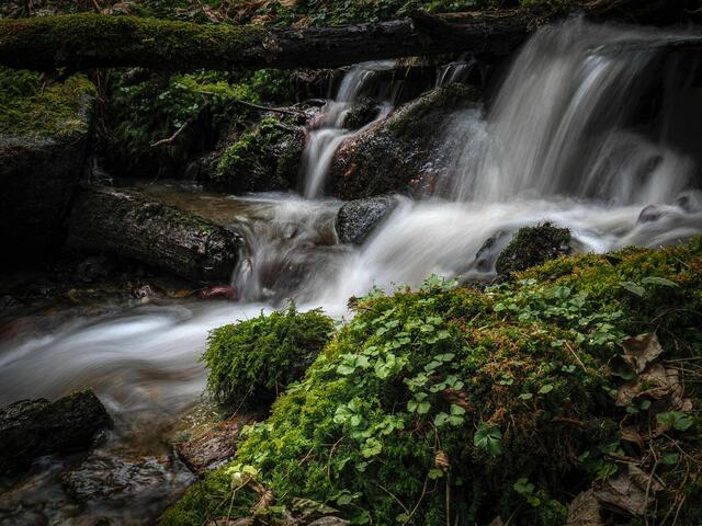 Foto Johanna Schratzer