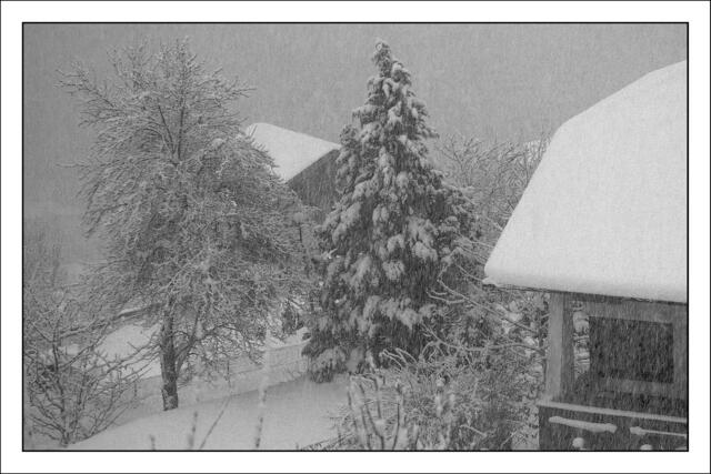 Bild IMG_9750: der Wettergott scheint sich heute mit heftigen Schneefall wieder an die Ereignisse aus dem Jahr 1999 zu erinnern? | Foto: © by Ing. Günter Kramarcsik