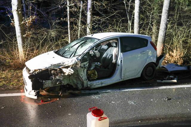 Foto: Daniel Scharinger