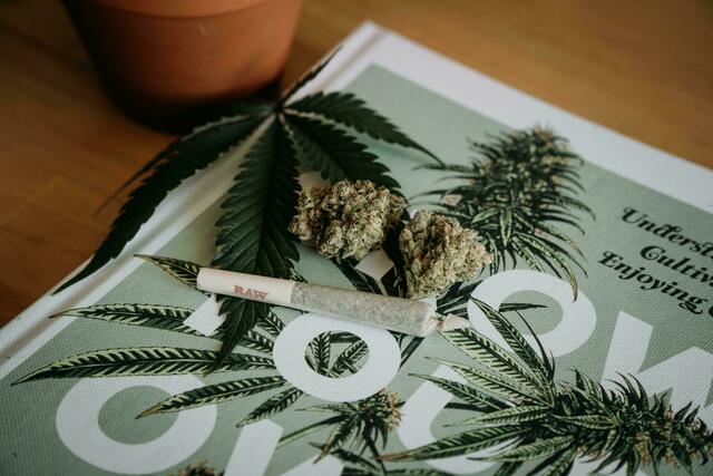 Der Drogenschnelltest war positiv auf THC. Das ist der hauptsächlich rauschbewirkende Bestandteil der Hanfpflanze (Cannabis). (Symbolbild) | Foto: Symbolbild: Unsplash/Shelby Ireland