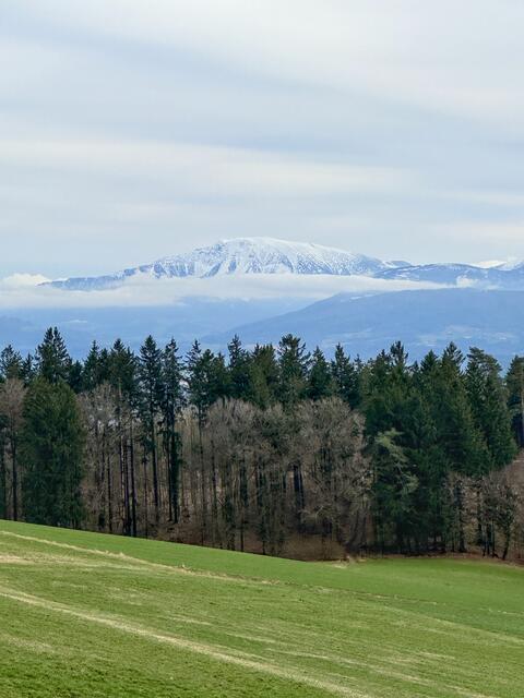 Kurz vor St. Martin noch ein schöner Ausblick auf den Ötscher 1893 m im Voralpenland.

 | Foto: Franz Dörr