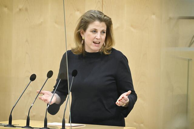 Die Regierung sei säumig, deshalb starten die Neos die „Mission 40 Prozent“. Das Ziel ist es, die Steuer- und Abgabenquote auf 40 Prozent zu senken. (Archiv) | Foto: Parlamentsdirektion / Johannes Zinner