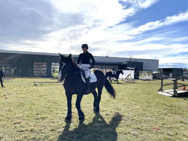 Die Fachschulen sorgen mit ihren Reitvorführungen für Unterhaltung. | Foto: B. Gady