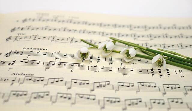 1994 beschlossen die Kulturreferenten die Durchführung der Jugendmusikwettbewerbe "prima la musica" auf Landes- und Bundesebene. Inzwischen zählt der Jugendmusik-Wettbewerb zu den wichtigsten außerschulischen Einrichtungen zur Förderung der musikalischen Jugend. (Symbolbild) | Foto: pixabay.com