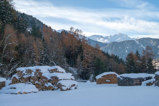 Holzlagerplatz am Thial der Agrargemeinschaft. | Foto: © by Ing. Günter Kramarcsik