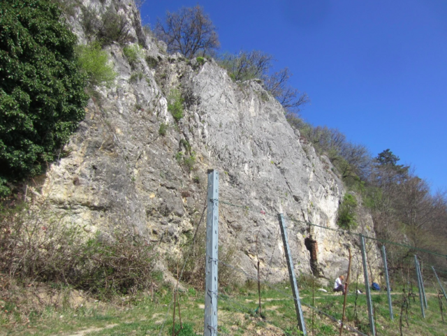 Kletterfelsen bei Gumpoldskirchen | Foto: privat
