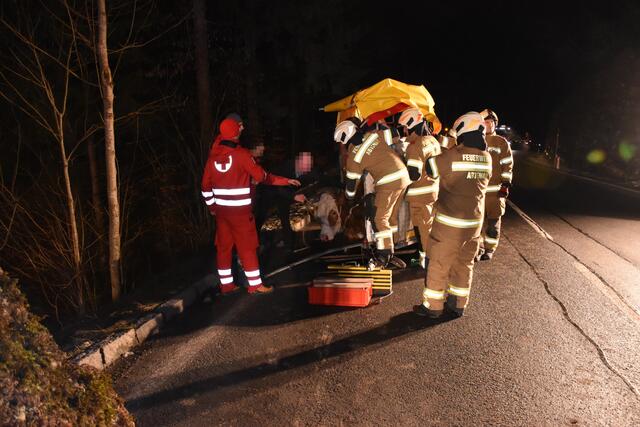 Deutlich härter soll der fallende Steinbrocken laut dem Bericht der Feuerwehr Abtenau eine Kuh getroffen haben, die mit dem Fahrzeug per Tieranhänger transportiert wurde. | Foto: Freiwillige Feuerwehr Abtenau