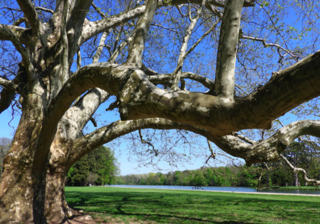 Im Schlosspark Laxenburg