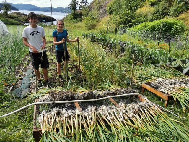 Für Egerdacher standen verschiedenste Arbeiten am Hof an, wie das Kultivieren der Felder.  | Foto: Hanna Egerdacher