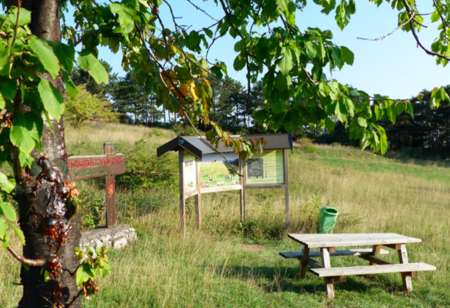 Grünes Umland bei Perchtoldsdorf