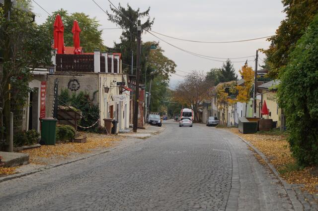 Bei der Bezirksvertretungssitzung wurden unter anderem eine Hundezone, Öffi-Themen und die Durchfahrt der Stammersdorfer Kellergasse besprochen. | Foto: Alois Fischer