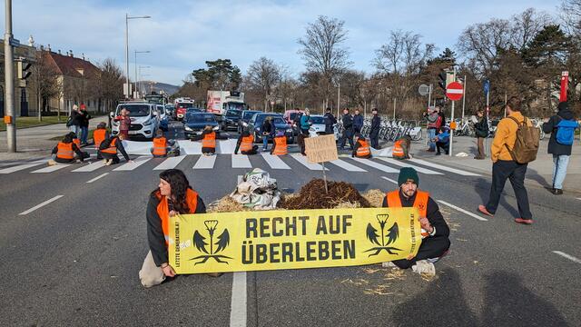 Vor und hinter dem Misthaufen sitzen die Klimaaktivisten | Foto: Letzte Generation Österreich
