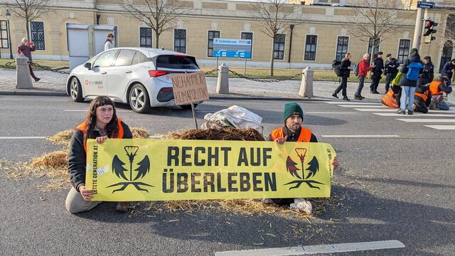 Vor dem Schloss Schönbrunn liegt auf einmal Dung. | Foto: Letzte Generation Österreich
