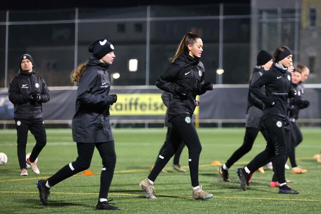 Der Nachwuchs- und der Damenbereich des SK Sturm soll durch den Bau eines neuen Trainingszentrums besser gefördert werden. Bislang hackte es an der Finanzierung durch die Stadt, die nun allerdings mit 3,1 Millionen Euro am Grundstückskauf beteiligen möchte. | Foto: SturmTifo.com