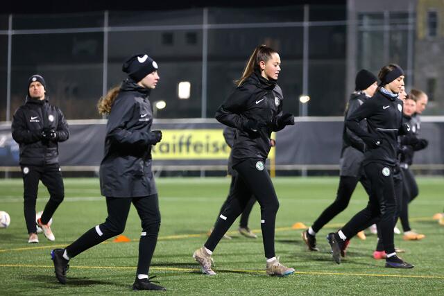 Der Nachwuchs- und der Damenbereich des SK Sturm soll durch den Bau eines neuen Trainingszentrums besser gefördert werden. Bislang hackte es an der Finanzierung durch die Stadt, die nun allerdings mit 3,1 Millionen Euro am Grundstückskauf beteiligen möchte.  | Foto: SturmTifo.com